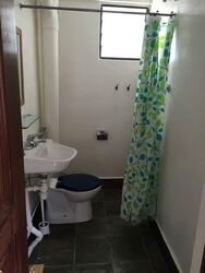 Blk 185 Bishan Street 13 (Bishan), HDB 3 Rooms #566410081